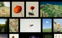 Astro Photo Grid theme preview