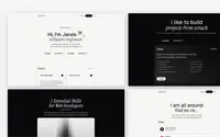 Flaco theme preview