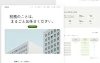 Roku / Professional Services theme preview