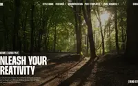 Snook theme preview
