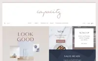 Capacity Clean theme preview
