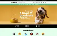 InHealth Pets theme preview