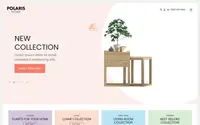 Polaris Home theme preview