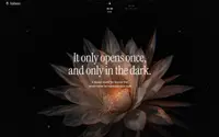 Anthesis theme preview