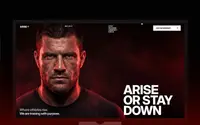 Arisee theme preview