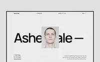 Asher Vale theme preview