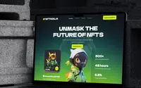 FatNinja theme preview