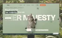 FETCH theme preview