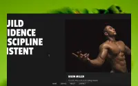 Flexon theme preview