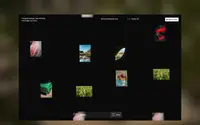 Heulo theme preview