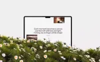 Hushfields theme preview
