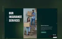 Insurize theme preview