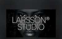 Larsson theme preview