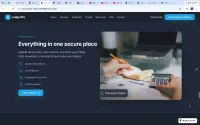 LedgerPro theme preview