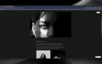 Lena Voss theme preview