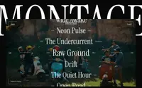 Montage theme preview