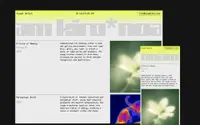 Noam Kiro theme preview