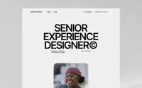 Olio theme preview