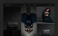 Paulina theme preview