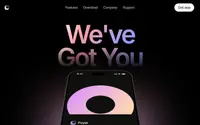 Payer theme preview