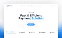 Paywise theme preview