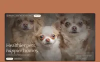 Pet Care theme preview