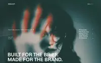 Reelio theme preview