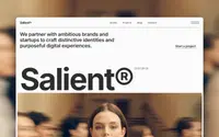Salient theme preview