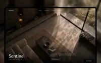 Sentinel & Co theme preview