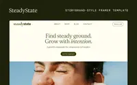 SteadyState theme preview