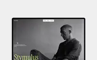 Stymulus theme preview