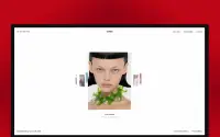 Supermodel theme preview