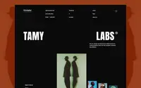 Tamy Labs theme preview