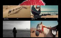 “Untitled.” theme preview