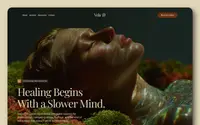 Velawell theme preview