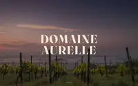 Vignoble theme preview