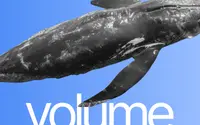 VOLUM theme preview