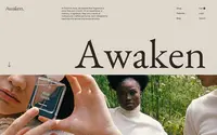 Awaken theme preview
