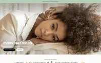 Broadcast theme preview