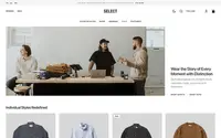 Select theme preview