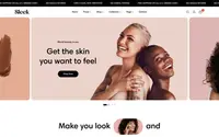Sleek theme preview