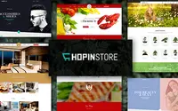 Ap Chopin Shopify Responsive theme preview