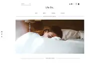 Clothing Store theme preview