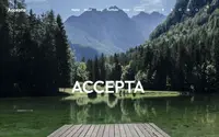 Accepta theme preview