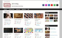 Airin Blog theme preview