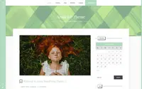 Ansia theme preview