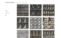 Art Portfolio theme preview
