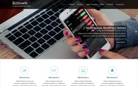 BizGrowth theme preview