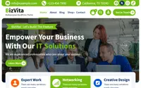 BizVita theme preview