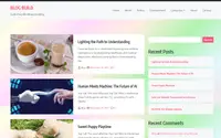 Blog Build Lite theme preview